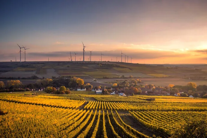 Minimizing Environmental Impact